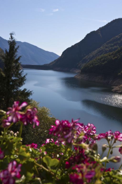 Hotel Al Lago Vogorno Екстериор снимка